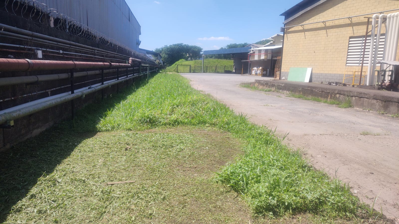 Área industrial após limpeza de terreno